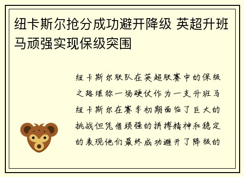 纽卡斯尔抢分成功避开降级 英超升班马顽强实现保级突围