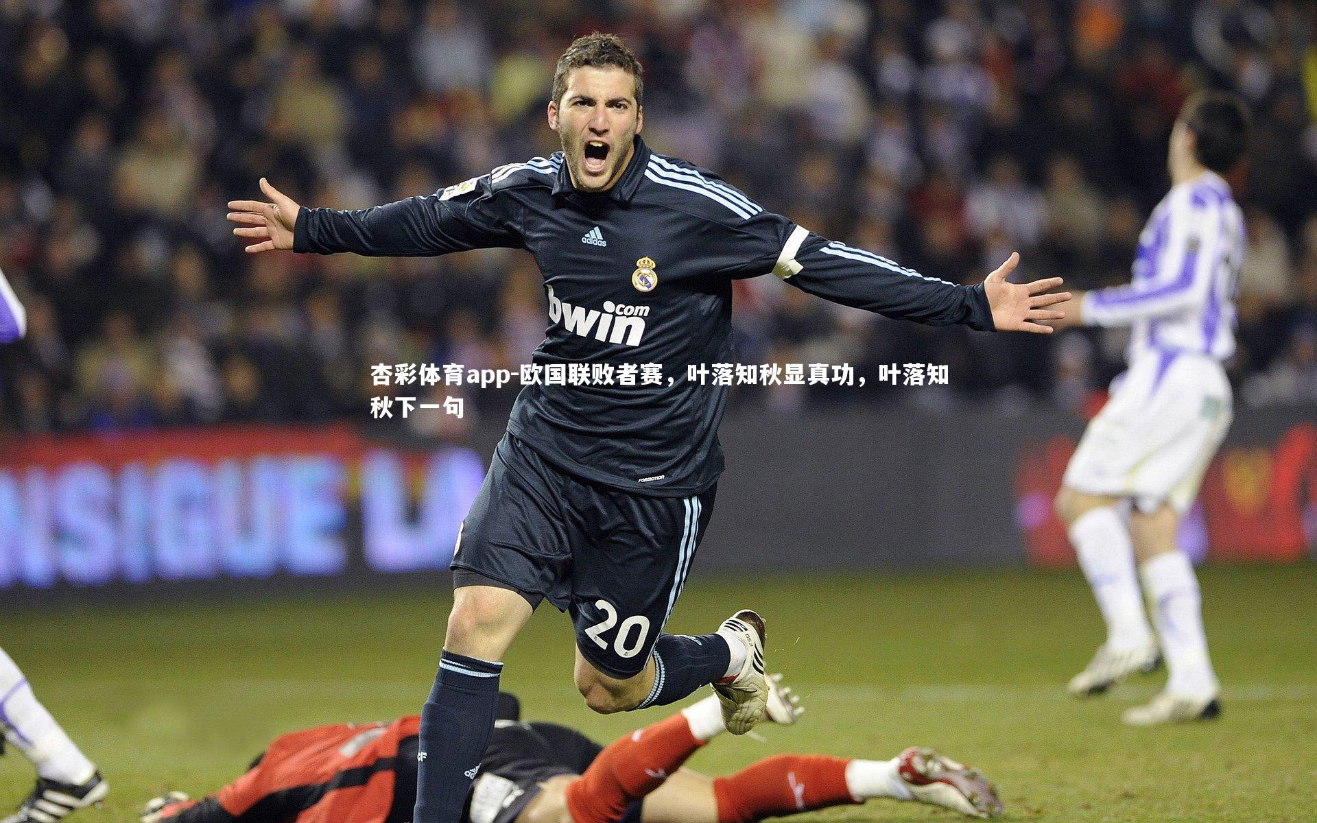 欧国联败者赛，叶落知秋显真功，叶落知秋下一句